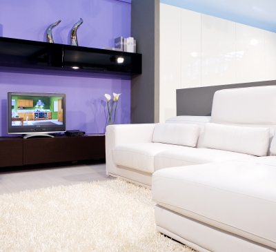 Carpet Upholstery Protection Treatment Cincinnati 